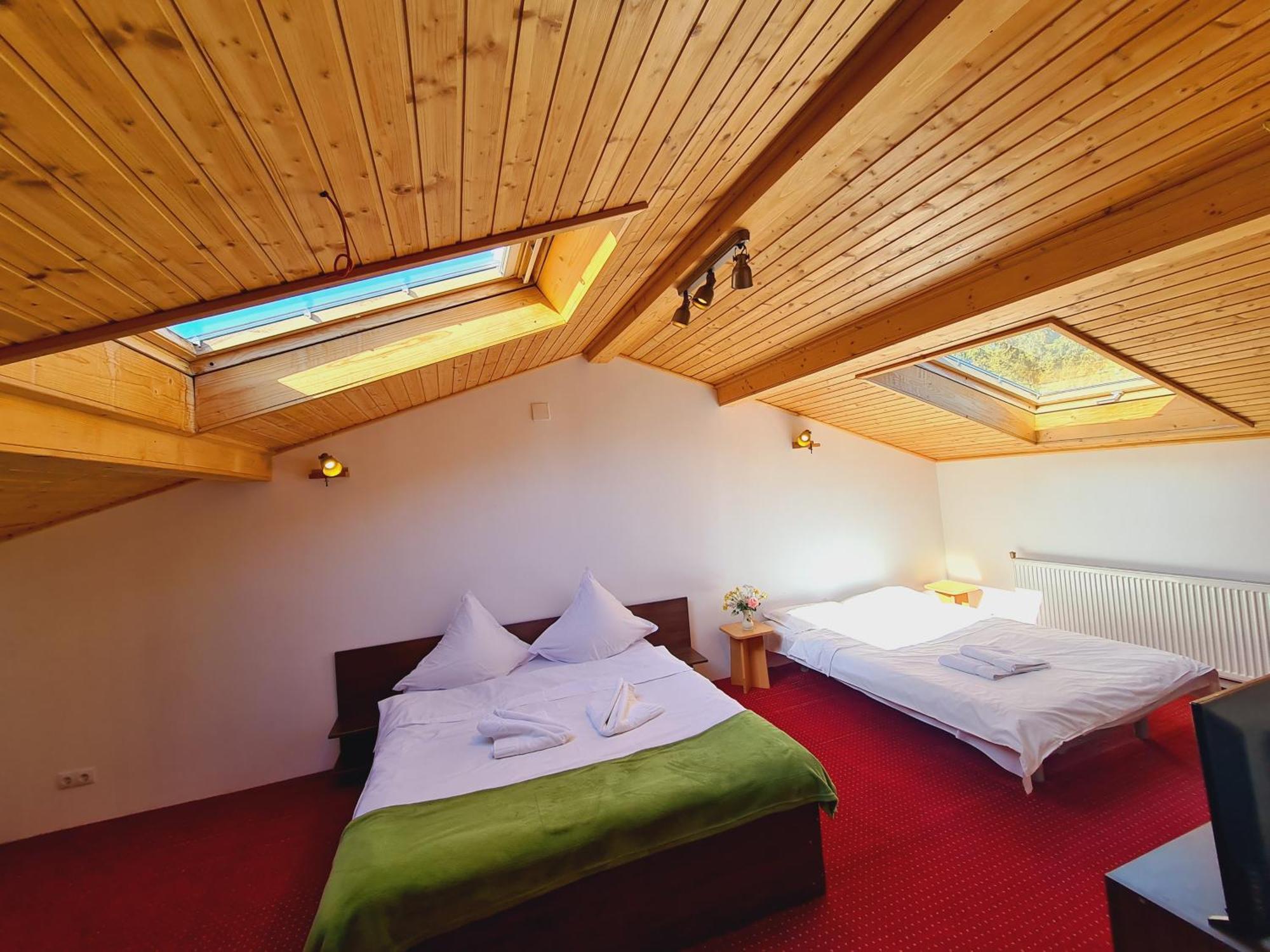 Casa Florescu Буштени Экстерьер фото