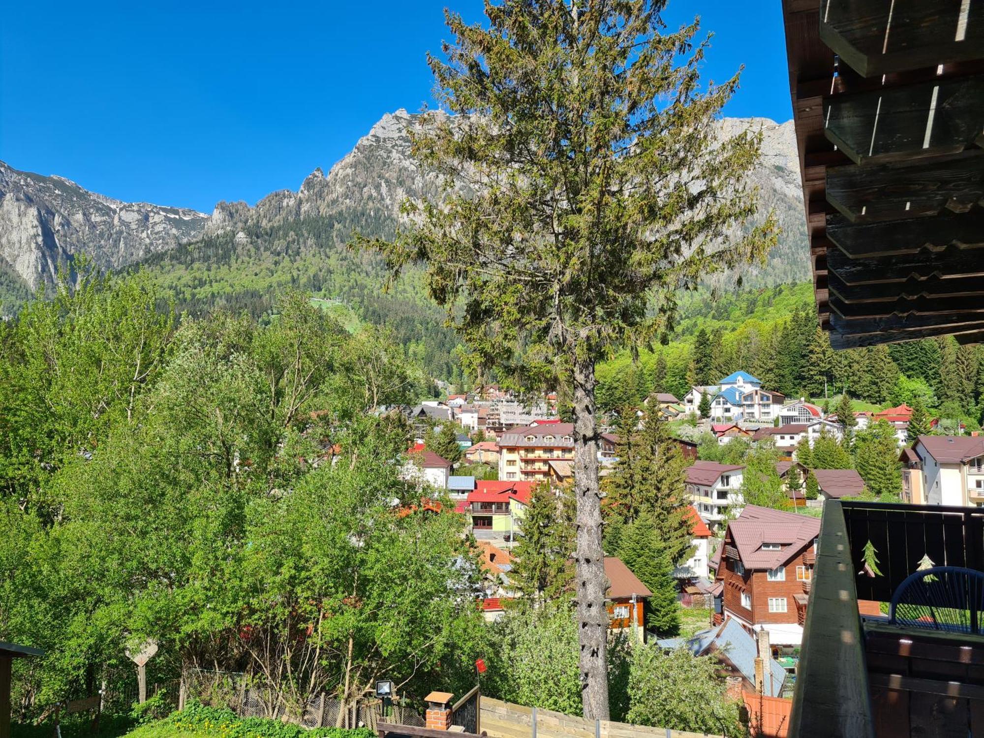 Casa Florescu Буштени Экстерьер фото
